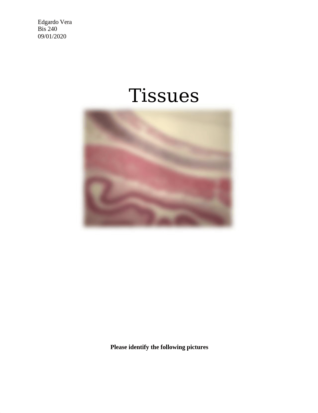 Tissues.docx_djiqzk1czks_page1