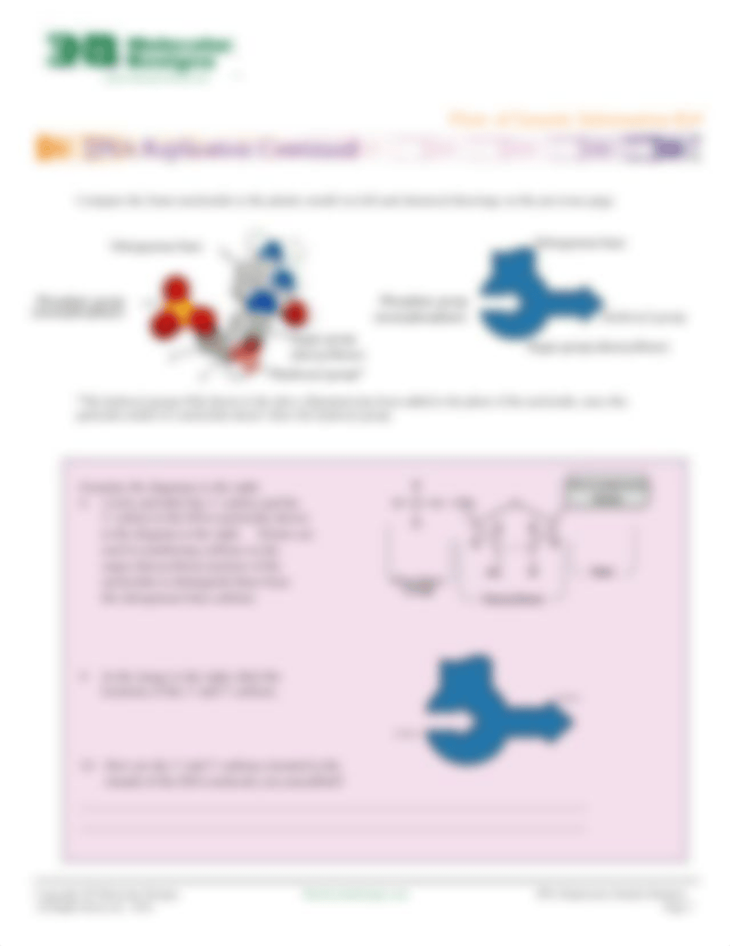 Flow of Genetic Information Replication.pdf_djissfhwlcp_page3