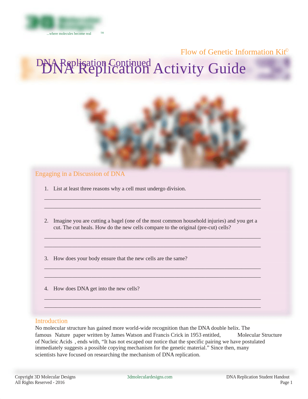 Flow of Genetic Information Replication.pdf_djissfhwlcp_page1