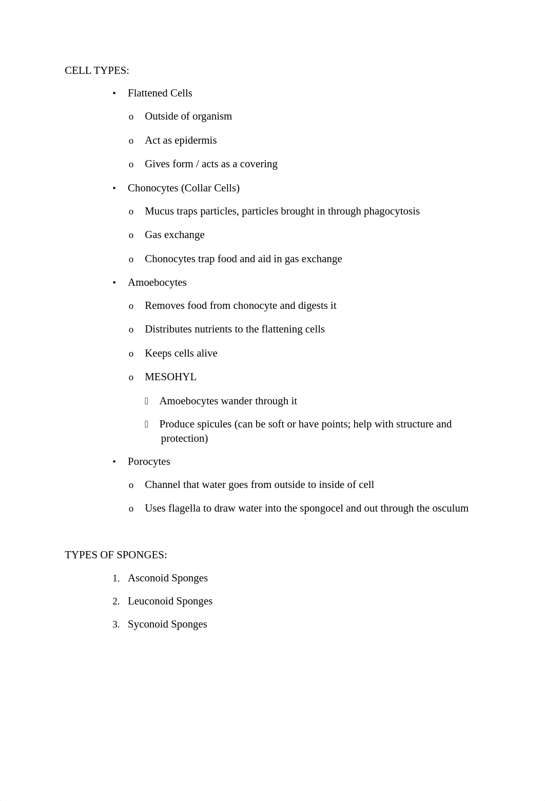 Invertabrates/Phylum Porifera_djiu13vqogl_page2