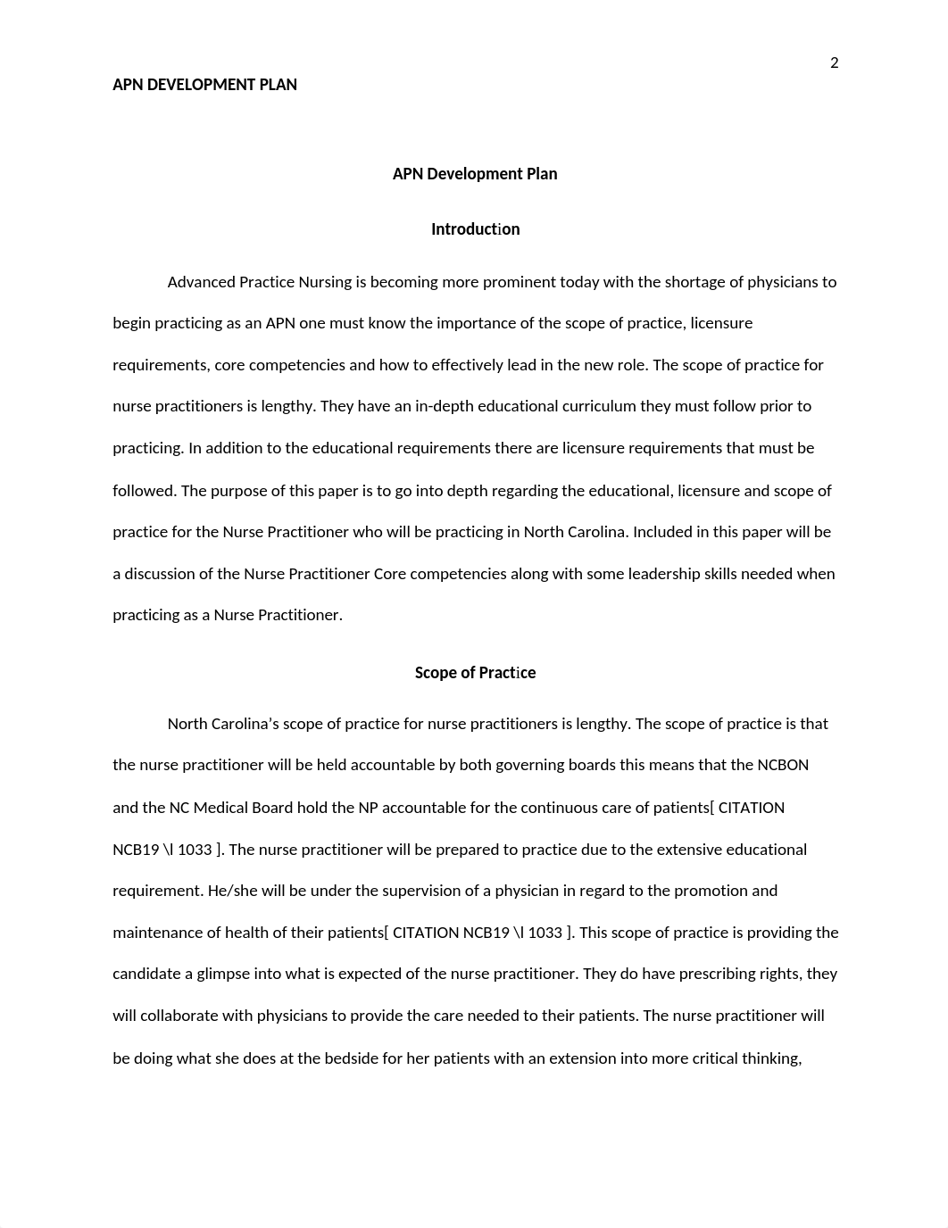 APN Development Plan.docx_djiuyzxkv6j_page2