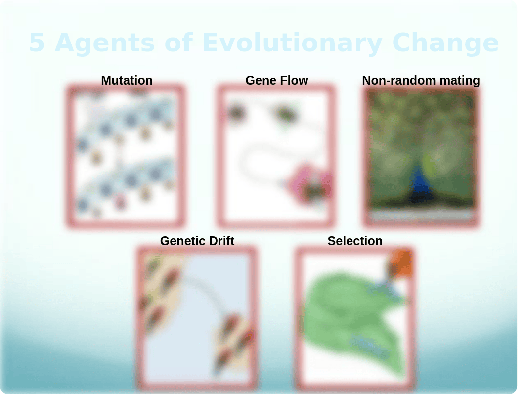 Ch 23 Population Genetics_djj4towyfp8_page2