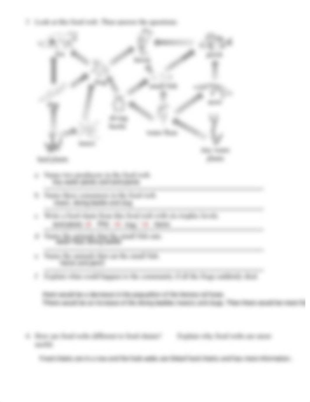 Food Webs and Food Chains Worksheet.pdf_djjjcfwteee_page2