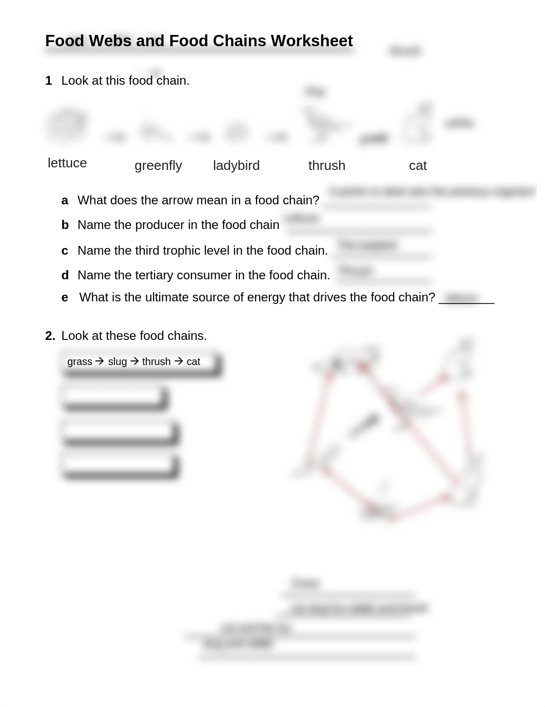 Food Webs and Food Chains Worksheet.pdf_djjjcfwteee_page1