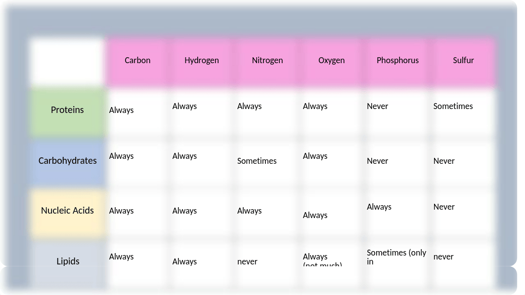 Macromolecules Activity - MT.pptx_djjkjh7v8e6_page2