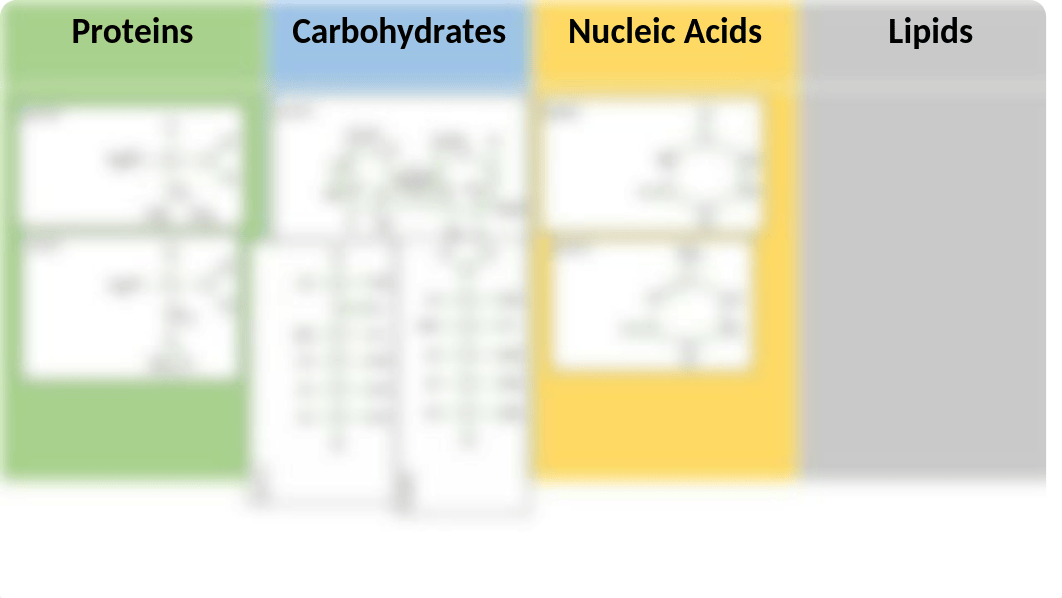 Macromolecules Activity - MT.pptx_djjkjh7v8e6_page5