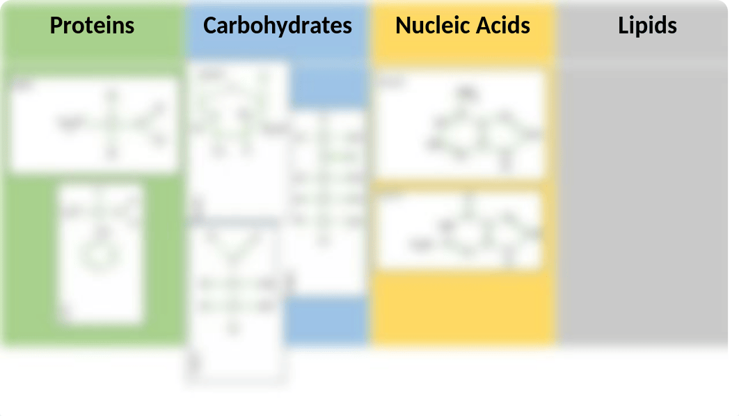 Macromolecules Activity - MT.pptx_djjkjh7v8e6_page4