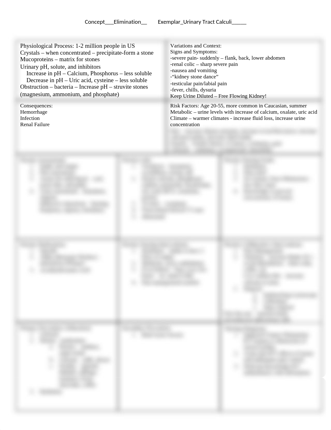 Concept Map Kidney Stones.docx_djjm3jqy6pj_page1