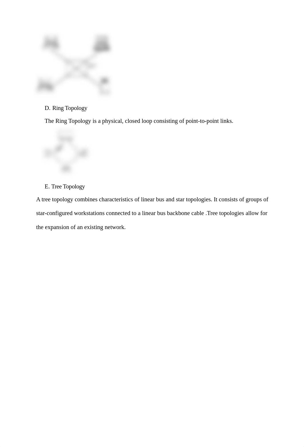 Lab 1.2 Networking Topologies and Classification_djjobo4kf4t_page2