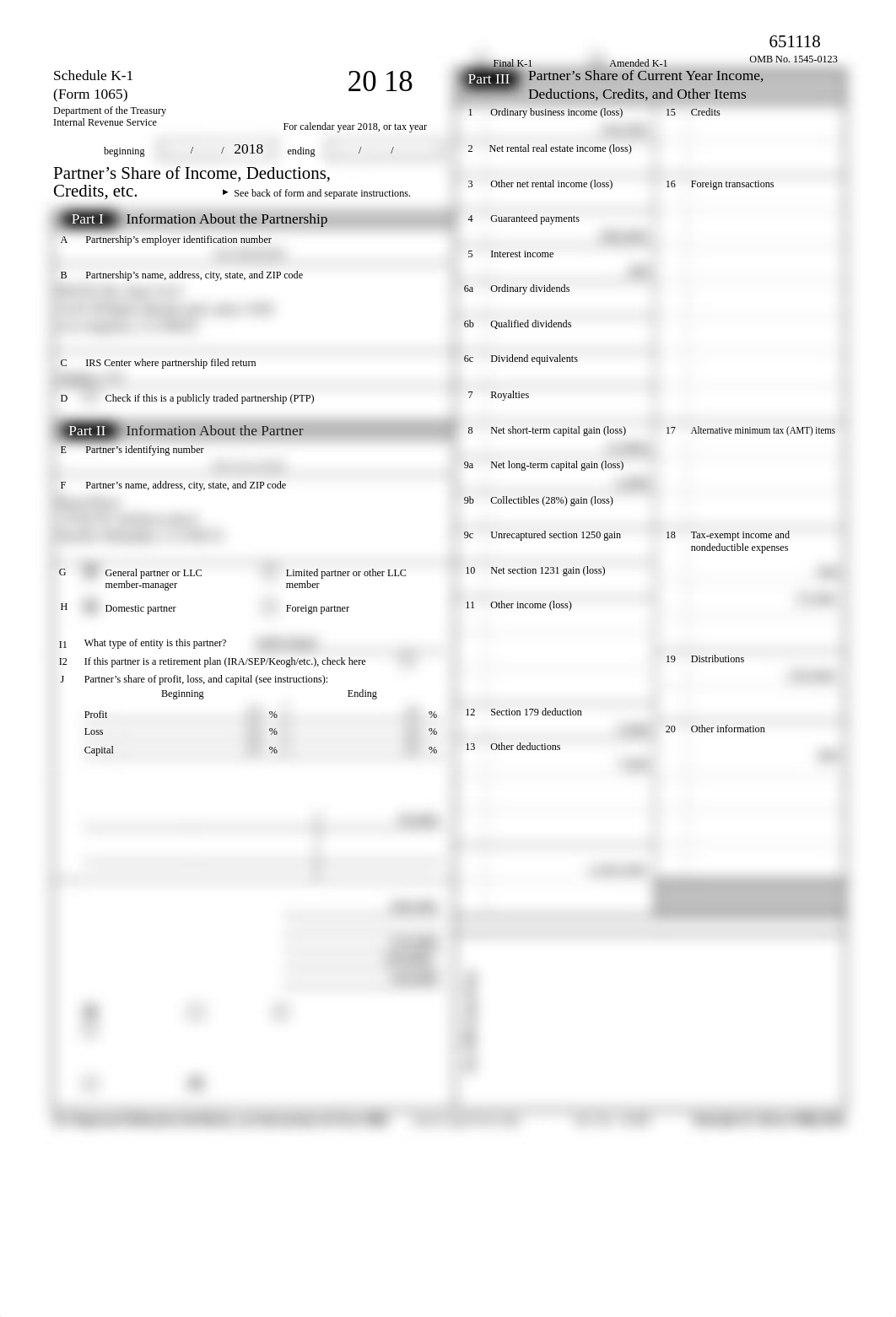 2018 Schedule K-1 (Form 1065).pdf_djjokt1sq43_page1