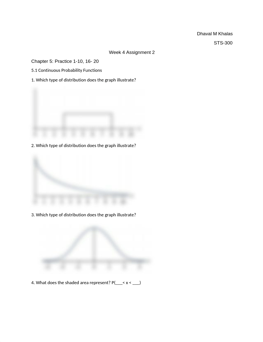 Week 4 Assignment 2.docx_djjp9nmttg4_page1