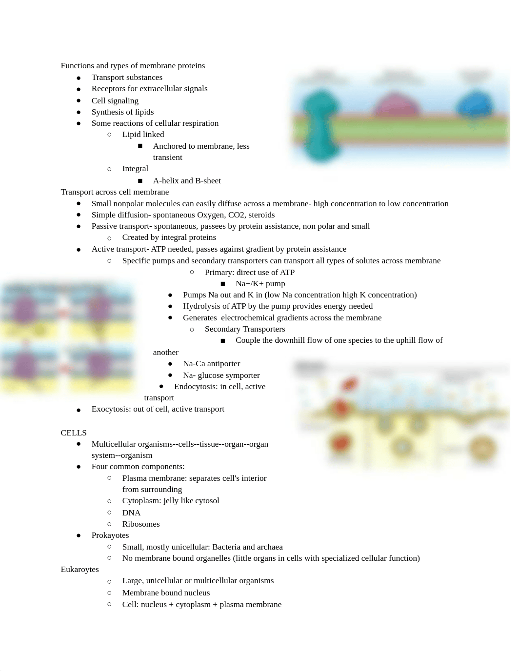 BIOCHEMSTUDYGUIDE2_djjtbzp9bpj_page2