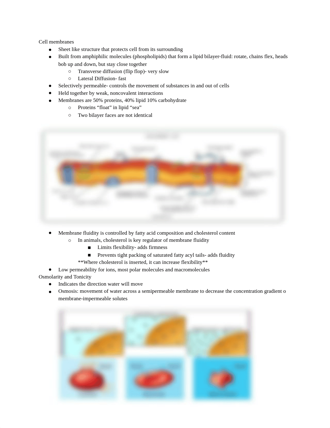 BIOCHEMSTUDYGUIDE2_djjtbzp9bpj_page1