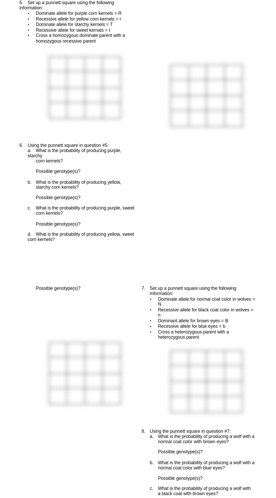 dihybrid cross worksheet_djjyuaf1em5_page2