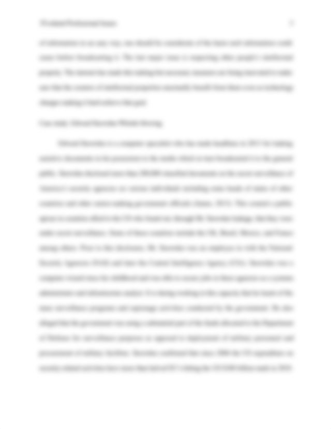 926500_926500_926500_it_issues_revision.docx_djk1kuksteg_page3