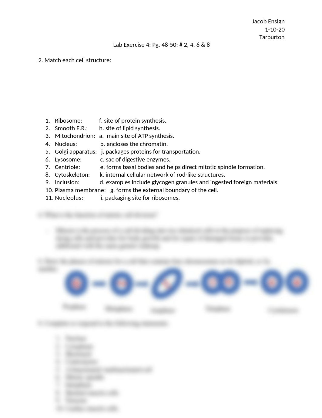 A&P Lab Exercise 4.docx_djk23toorp5_page1