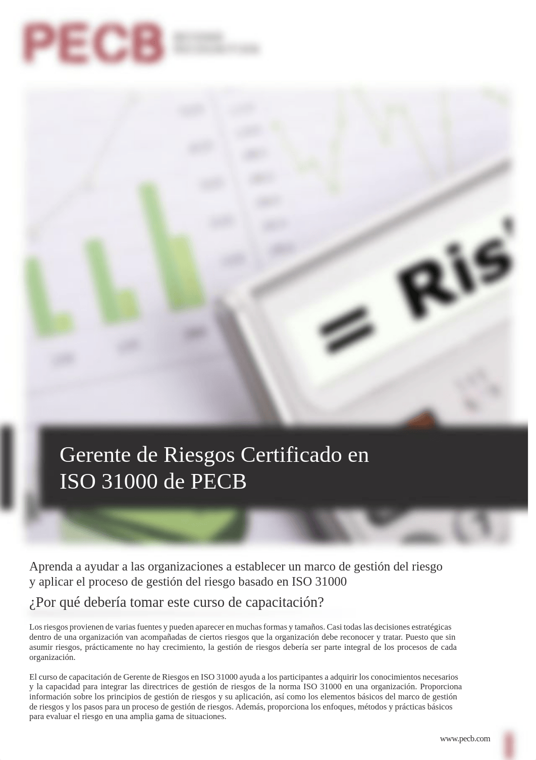 iso-31000-risk-manager-es.pdf_djk922v9s74_page1