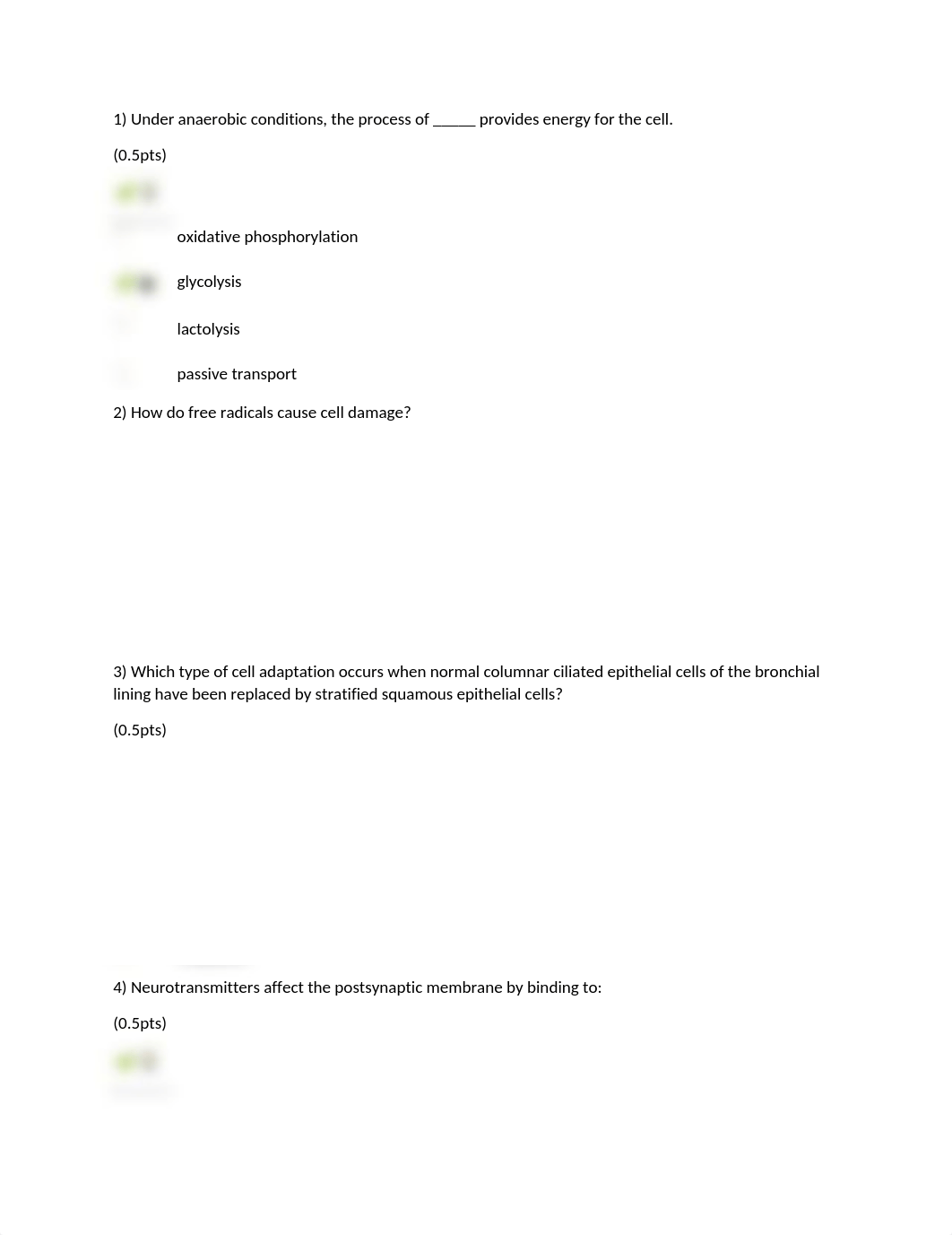 Pathoquiz1.docx_djkabjx1wux_page1