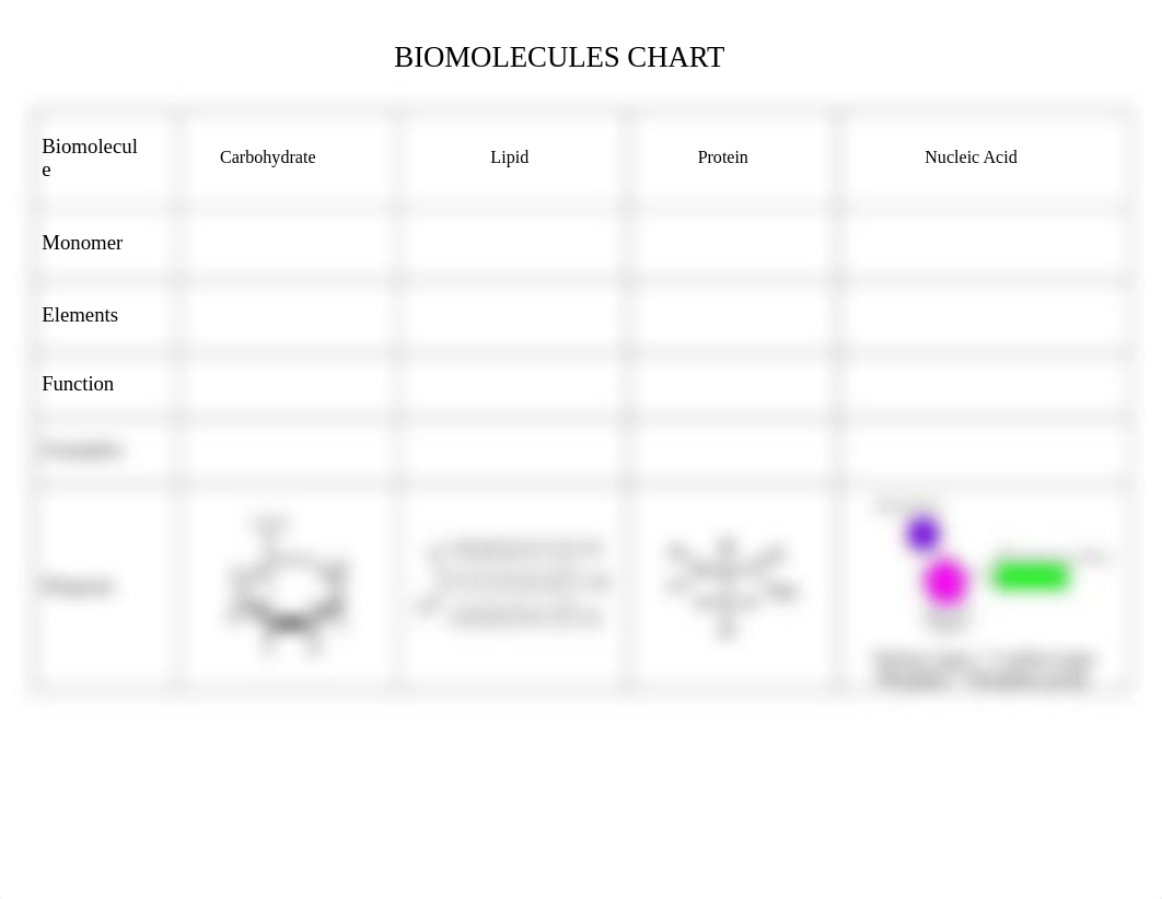 BIOMOLECULES CHART Empty.doc_djkdfnsx1vk_page1