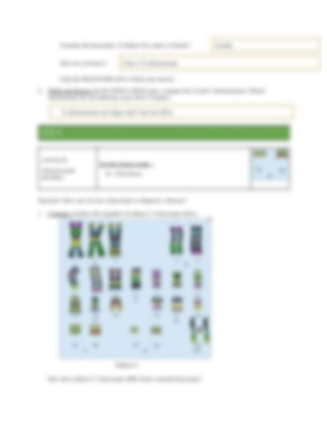 Human Karyotping Gizmo Worksheet.pdf_djklsz74l3g_page3