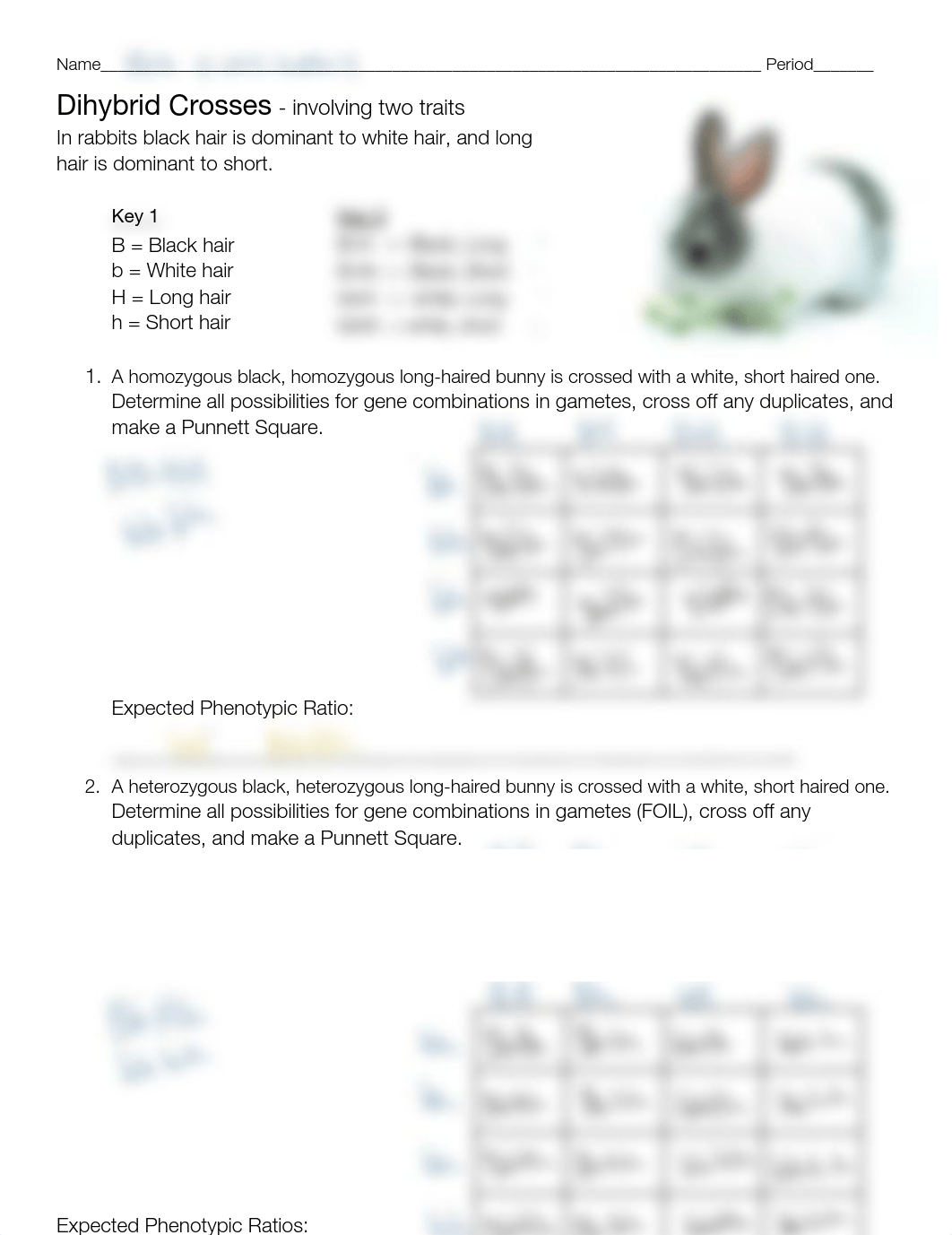 Dihybrid Crosses  a cross involving two traits student.pdf_djkpgtjfn25_page1