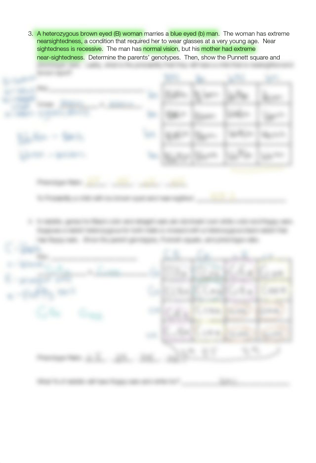 Dihybrid Crosses  a cross involving two traits student.pdf_djkpgtjfn25_page2