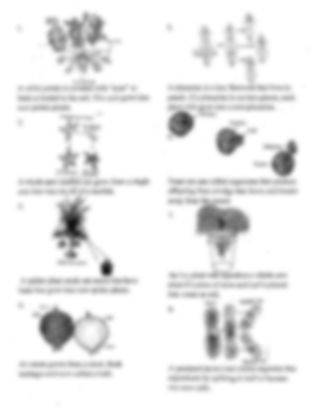 Kami Export - 3 _ Asexual Reproduction Reading Worksheet (2).pdf_djkqd4ojaqr_page2