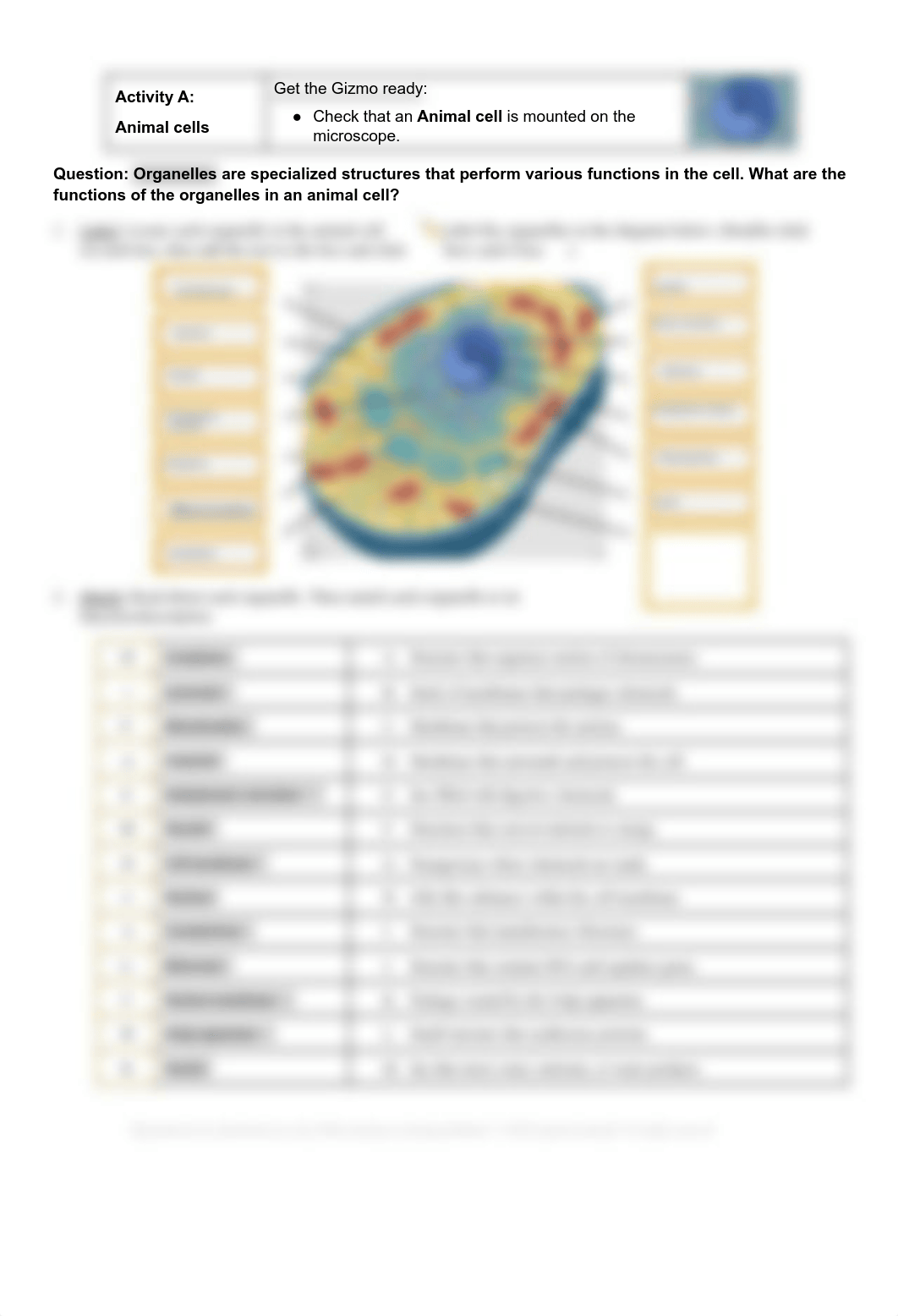 CellStructureSE.pdf_djks5n661ae_page2