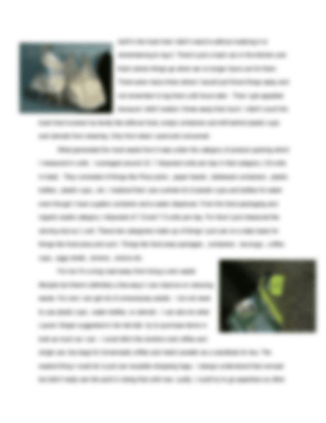 Waste Assigment .docx_djkus8s78t7_page2