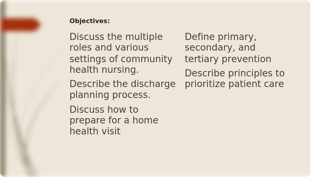 Management, Leadership, Community Nursing, & Discharge PlanningStudentFall2108(1).pptx_djkyzudubub_page2