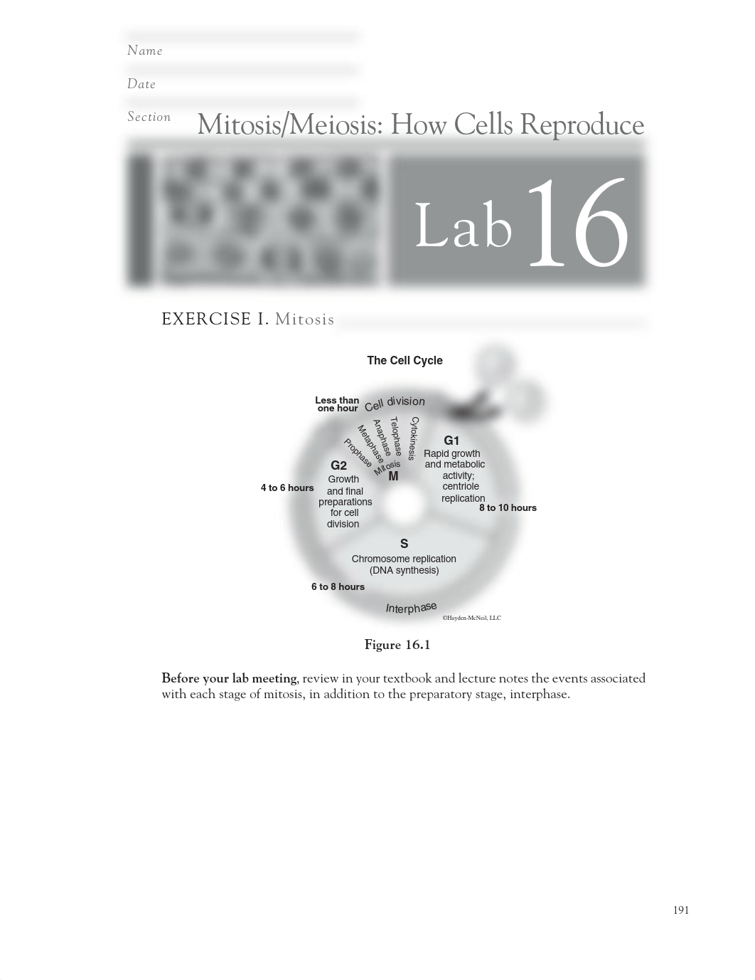 Lab_16_PP_191-200.pdf_djl0900xu1j_page1