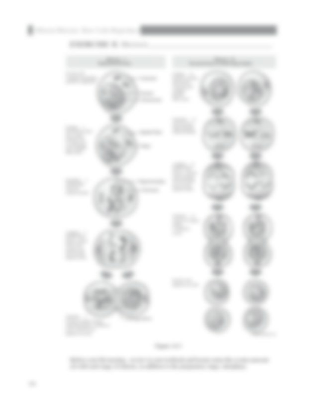 Lab_16_PP_191-200.pdf_djl0900xu1j_page4