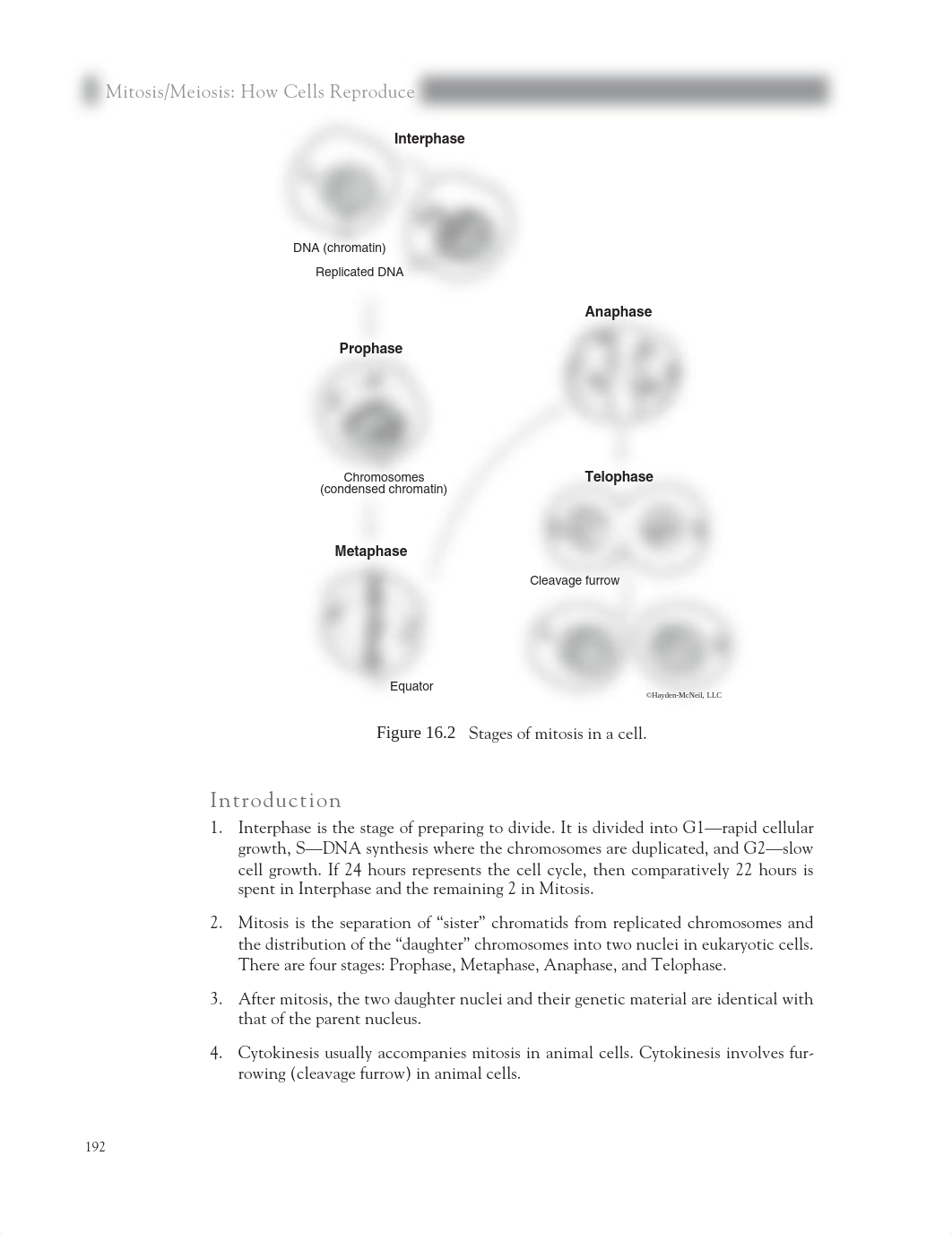 Lab_16_PP_191-200.pdf_djl0900xu1j_page2