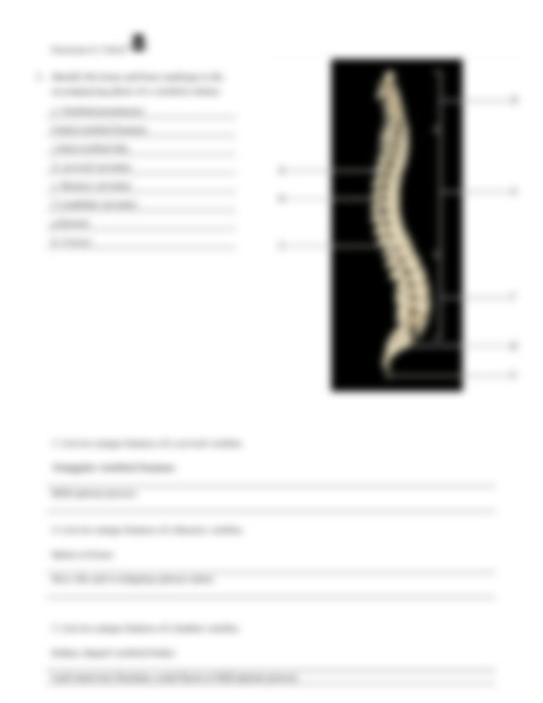 5. Unit 5 laboratory exercise 8, 9, & 10.docx_djl1f8sxus2_page5