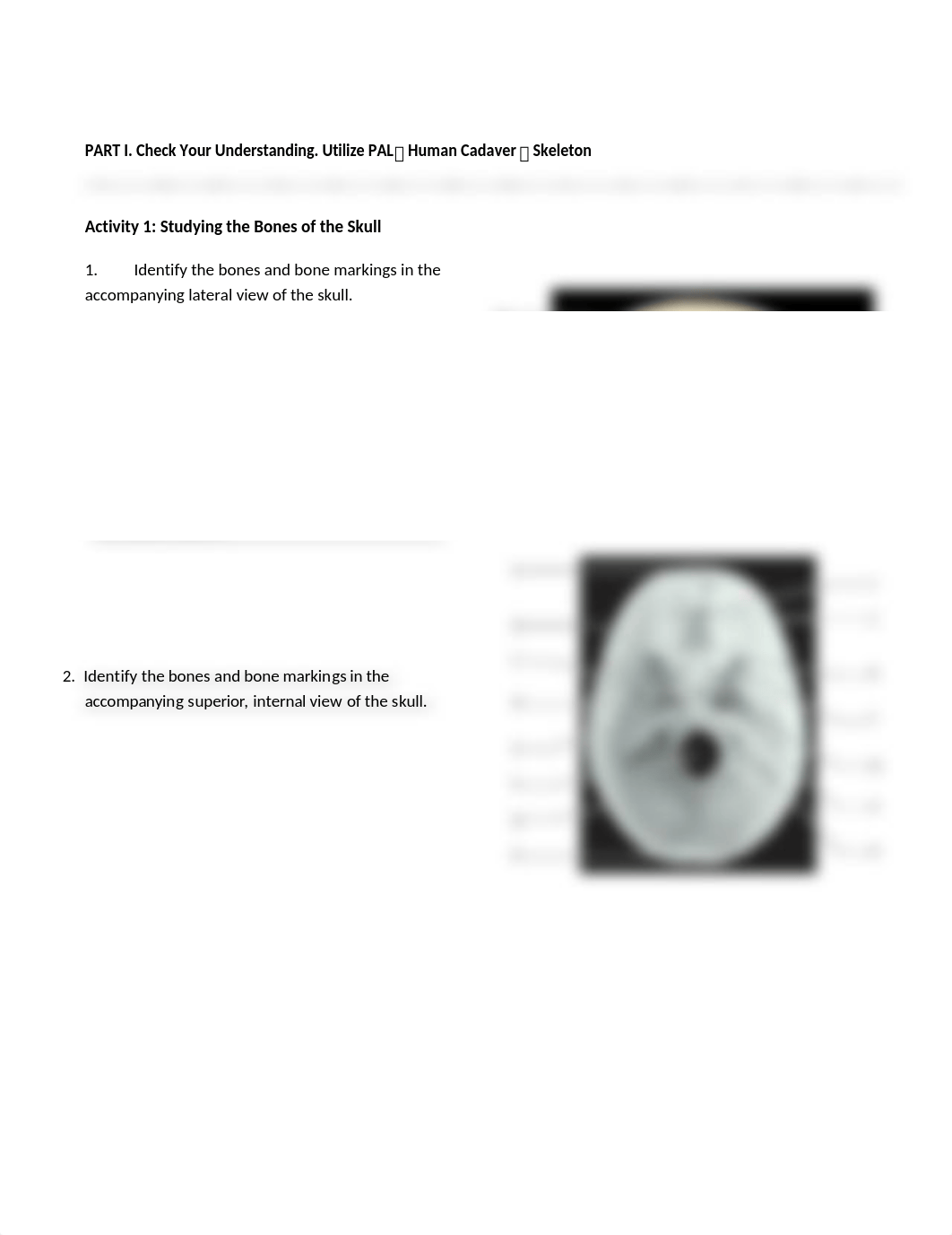 5. Unit 5 laboratory exercise 8, 9, & 10.docx_djl1f8sxus2_page3