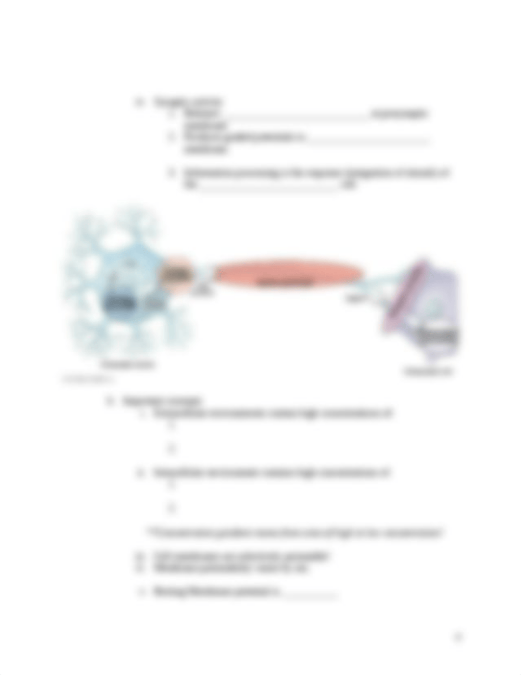 Chapter 11 Outline, Part B.docx_djl5ebcyn6i_page4