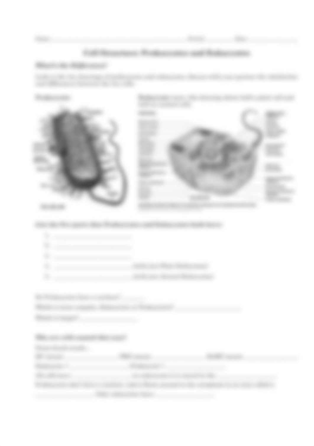 cell-structure-prokaryotes-and-eukaryotes-worksheet-randolph-high-school_big.png_djl5r231sof_page1