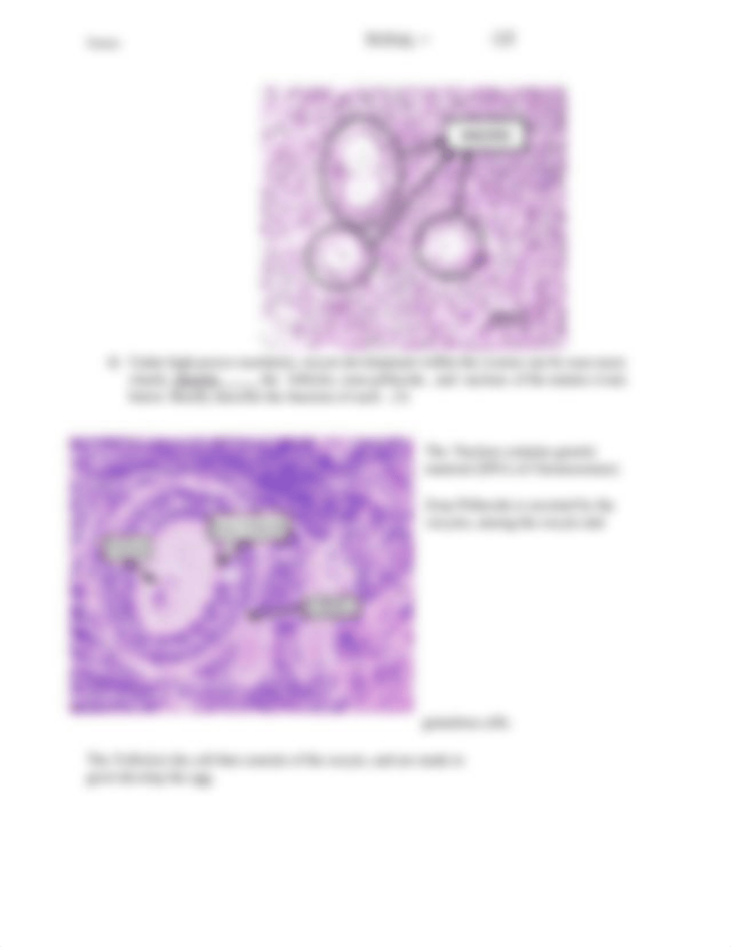 Reproductive-Tissues-Lab-Claudia - Google Docs.docx_djl69ndc9qm_page3