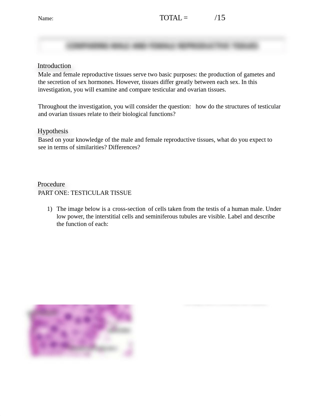 Reproductive-Tissues-Lab-Claudia - Google Docs.docx_djl69ndc9qm_page1