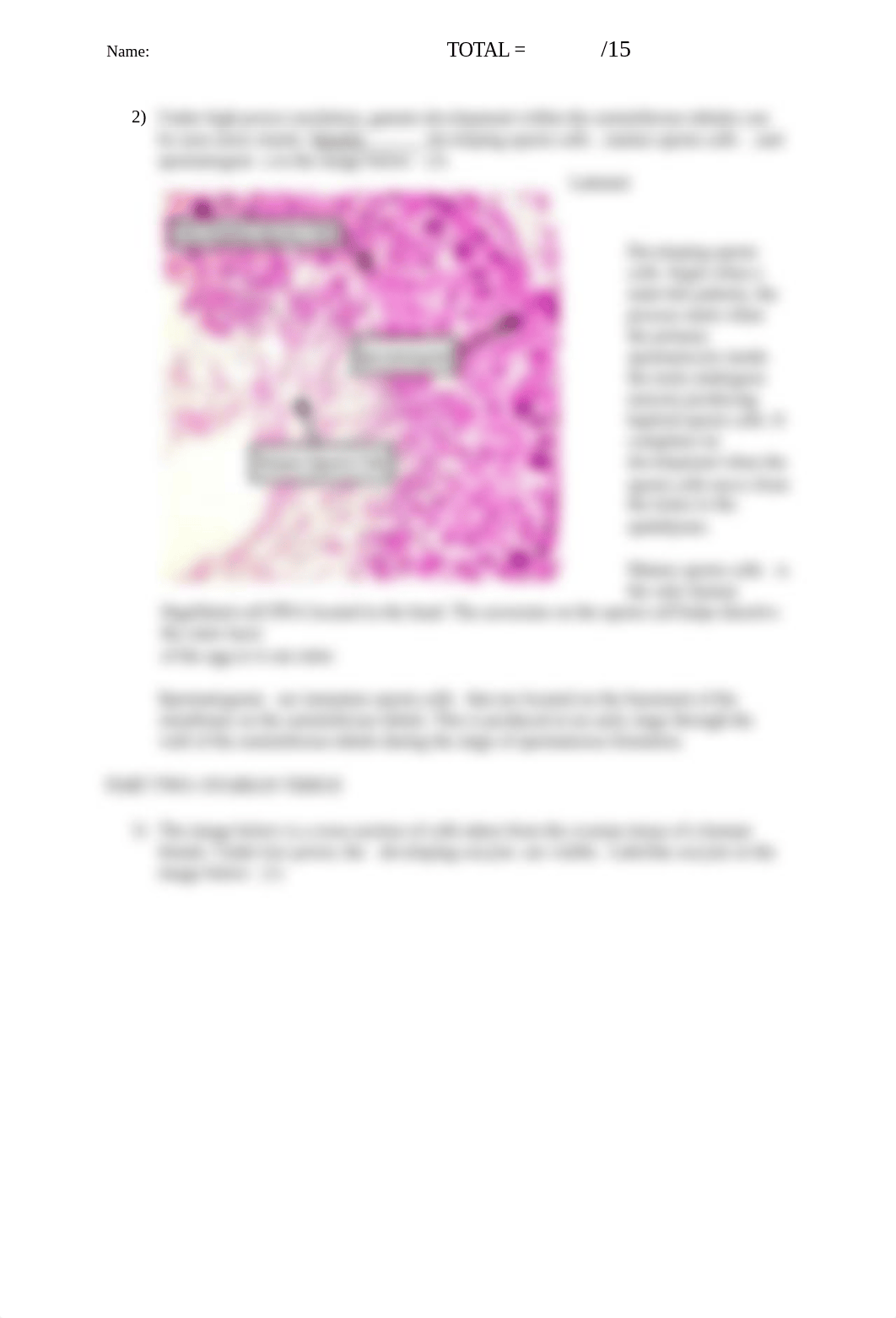 Reproductive-Tissues-Lab-Claudia - Google Docs.docx_djl69ndc9qm_page2