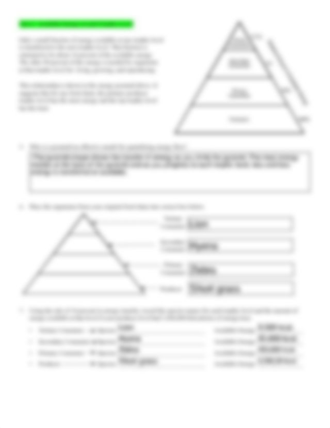 Lesson 9.pdf_djl7aw8ogxs_page2