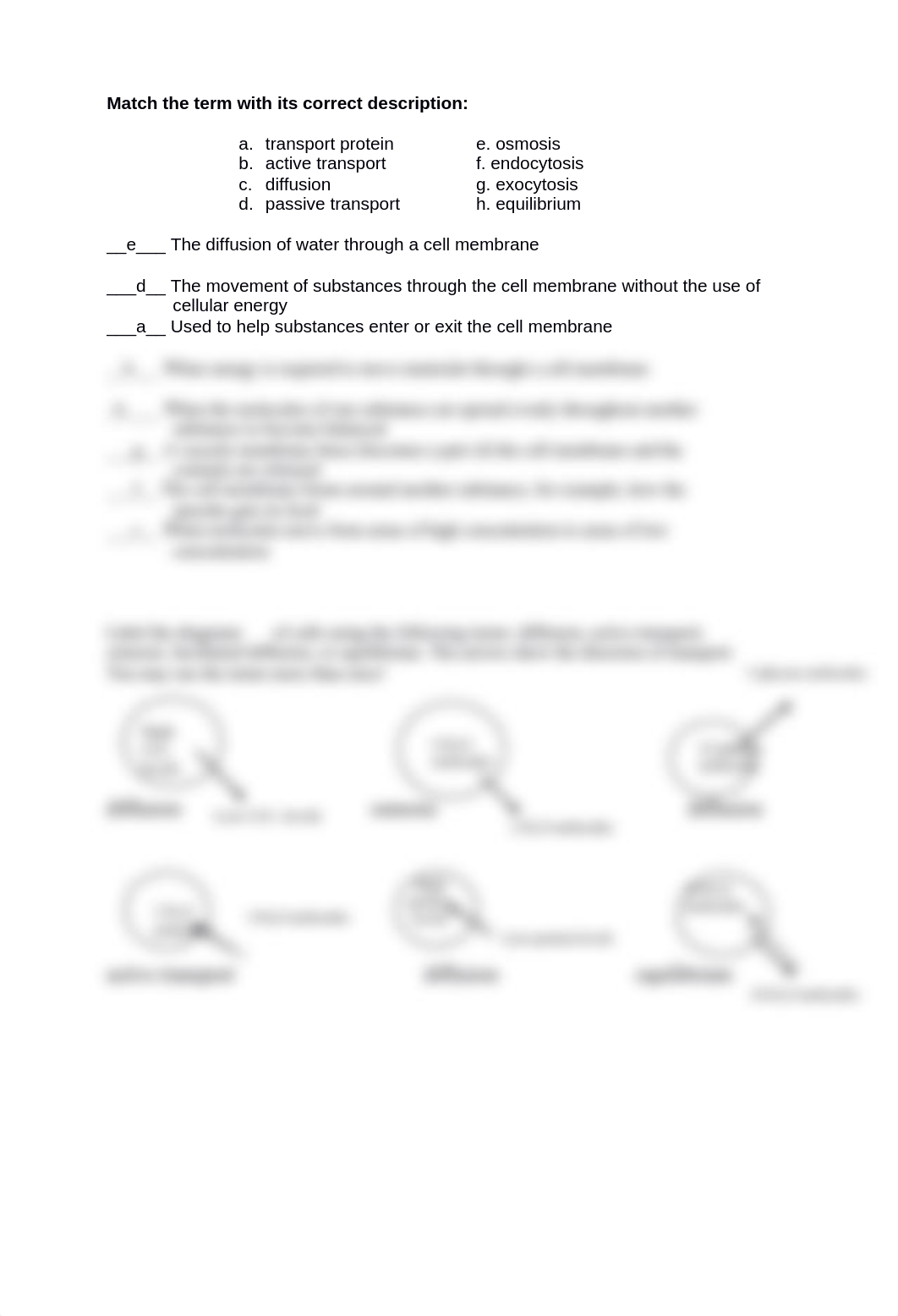 Cell Transport Review Worksheet COMPLETED.docx_djl8iv8lns7_page2