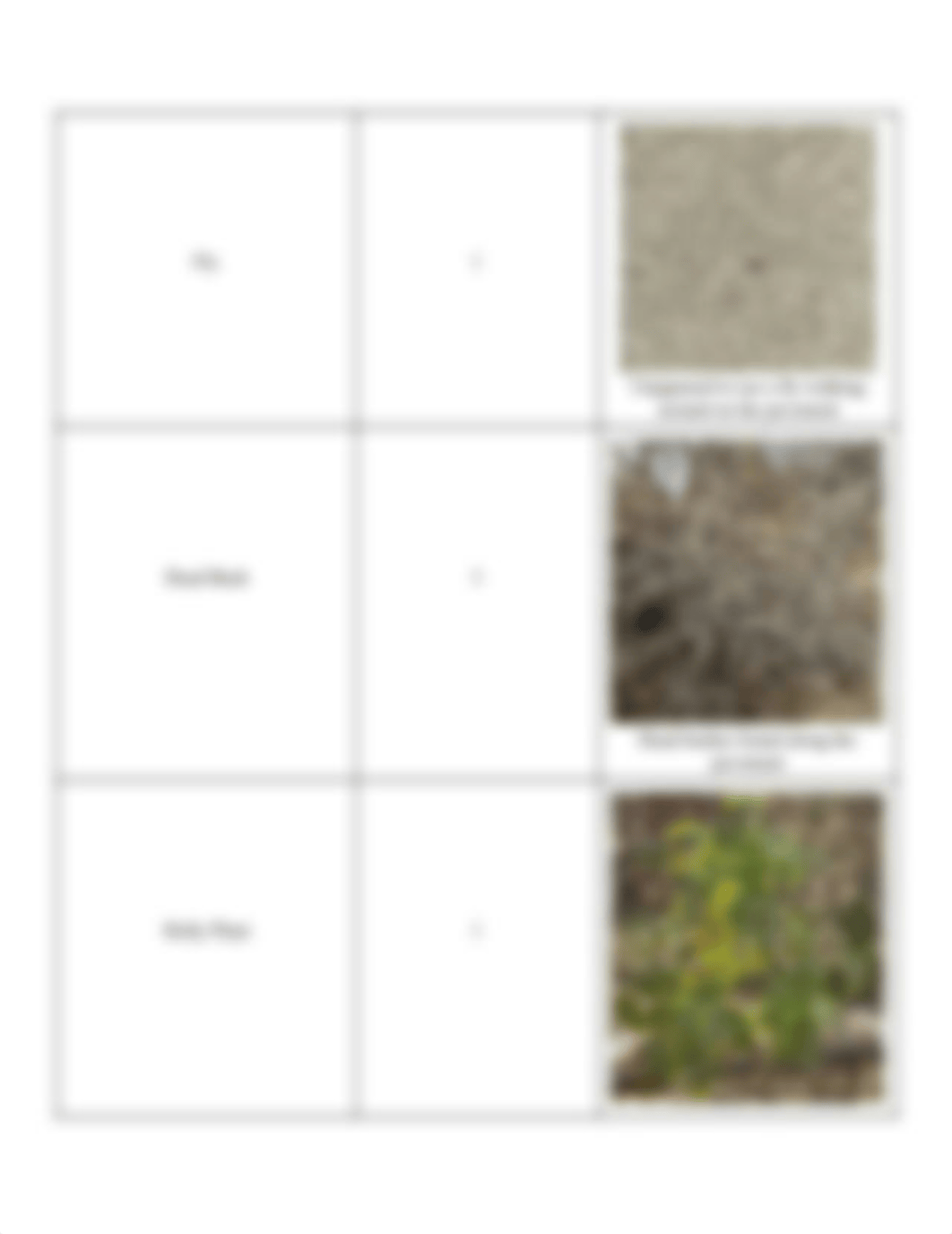 Lab 3_ Biomes, Ecosystems, & Habitats.pdf_djlkjy4sehq_page5