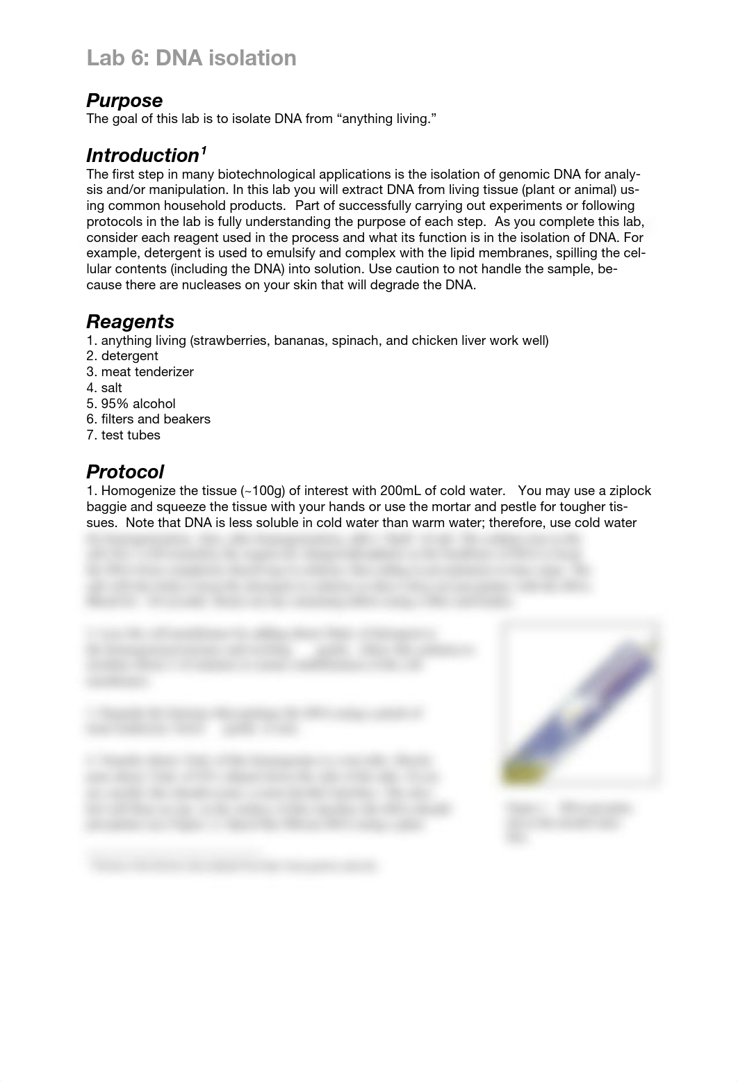 Lab 6 DNA isolation_djlzt99abqi_page1