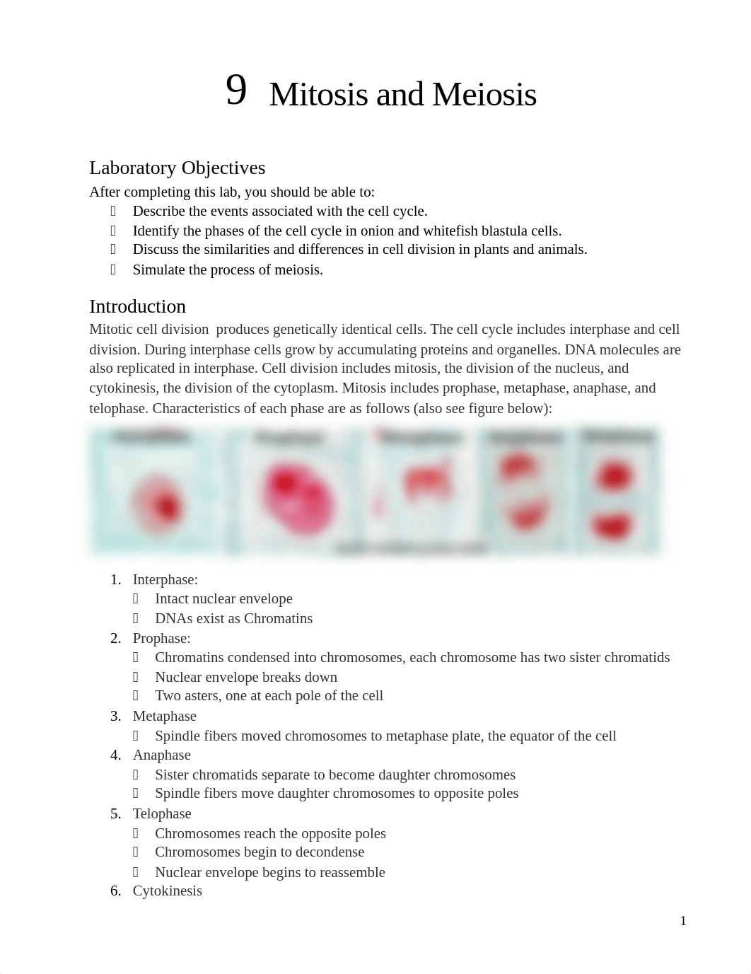 Lab 9_Mitosis and Meiosis(1).docx_djm331din6n_page1