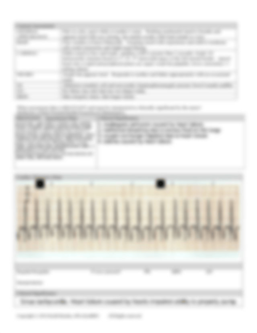 Ventral septal defect case study.pdf_djm6xkyh8zz_page3