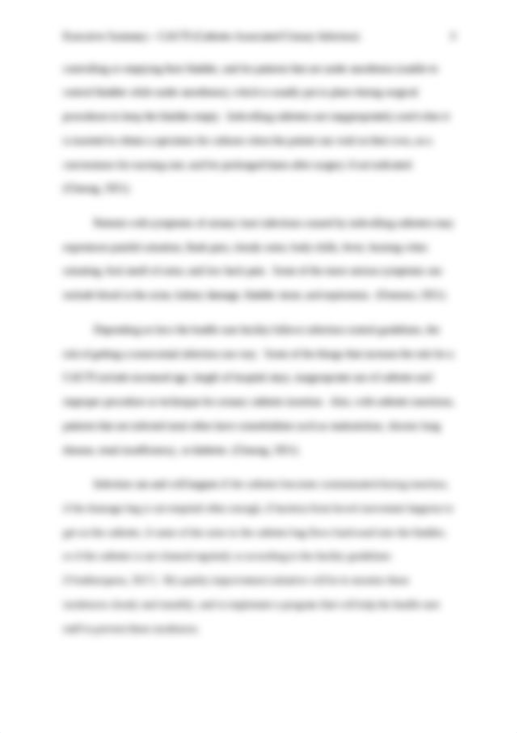 NRS-451 Executive Summary.docx_djmgrbibkzx_page3