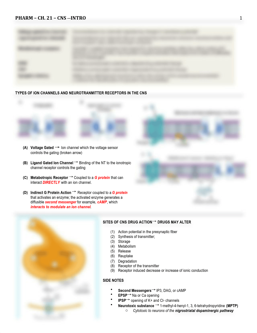 Pharm - 21 - CNS - BL_djmgxb6k0l3_page1