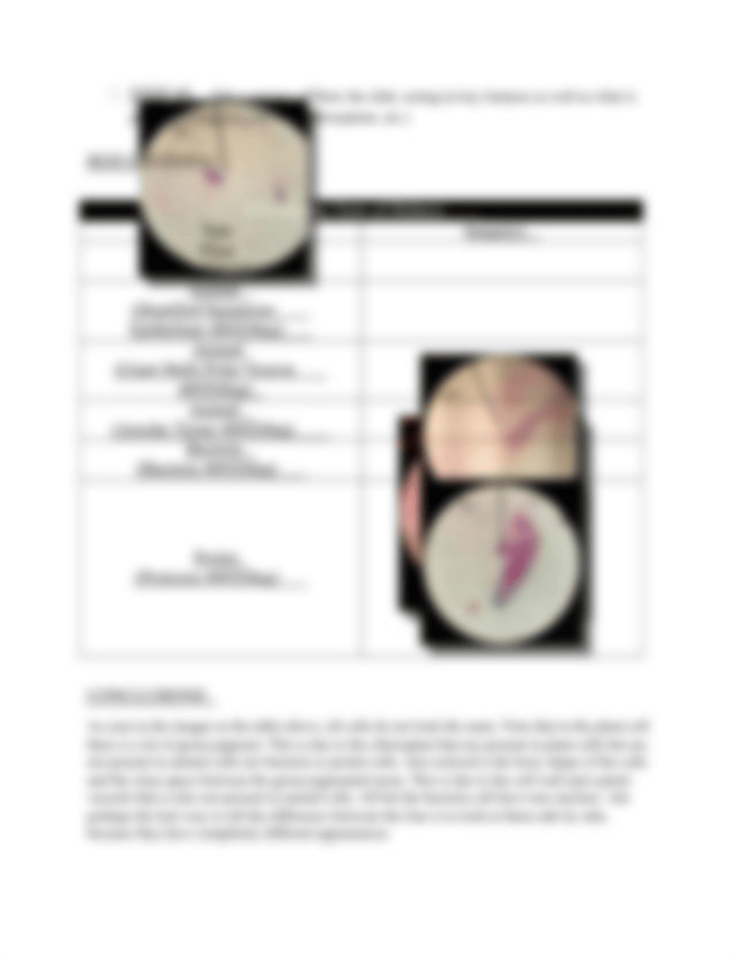 LAB#5_MICROSCOPY&CELLS_LAB.docx_djmjzkp1s07_page2