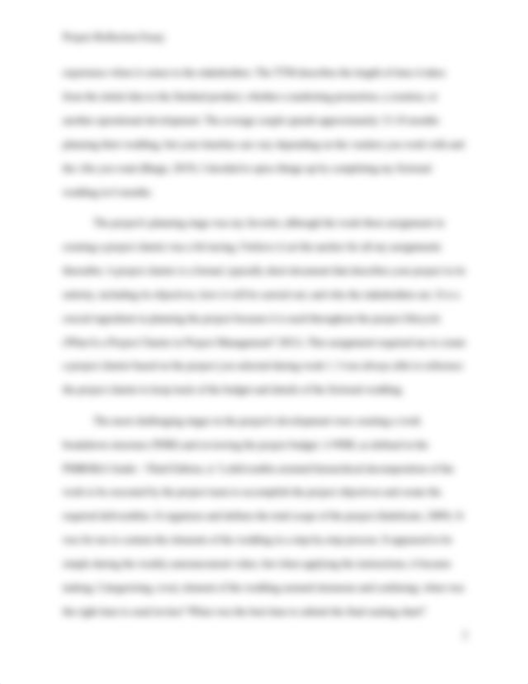 BU345-7B Project Reflection Essay.docx_djmr80bubb2_page3